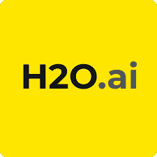 H20.ai Logo